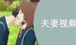 国产夫妻视频在线,私密情感的真实呈现