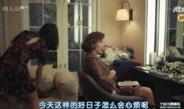 国产19禁,揭秘禁忌之下的激情与挑战