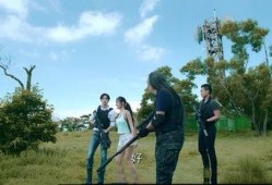 国产鸡情,探寻我国鸡肉产业的崛起之路