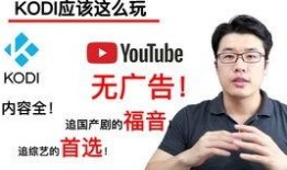 国产TUbe,引领科技潮流的创新力量