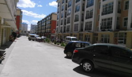 国产社区,构建和谐共生的网络家园