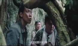 国产野战视频在线观看,全景展现我国军事实力与英勇风采