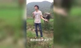 国产午夜福利视频在线,揭秘国内私密娱乐产业现状