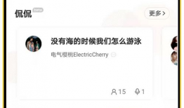 国产开房,揭秘中国住宿业的创新与变革