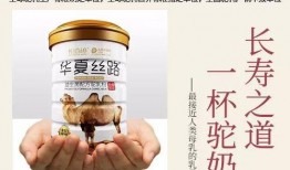 国产一级棒,匠心独运，品质卓越的国产之光